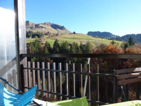 Studio Chinaillon Grand Bornand